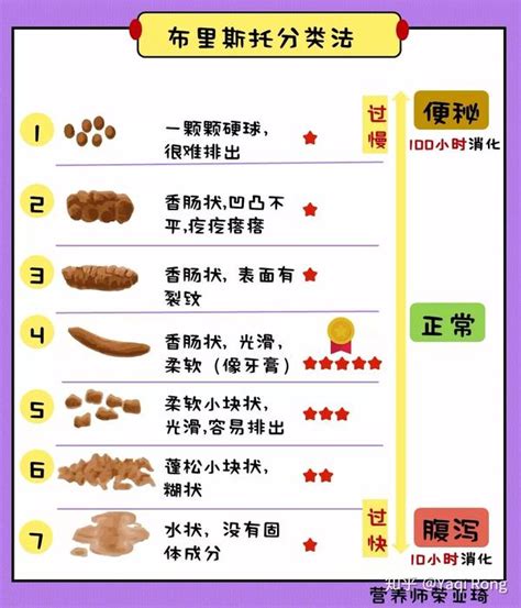 踩到大便怎麼辦|認識好的 排便姿勢 ＆ 便便常識大哉問！ – 骨盆學院